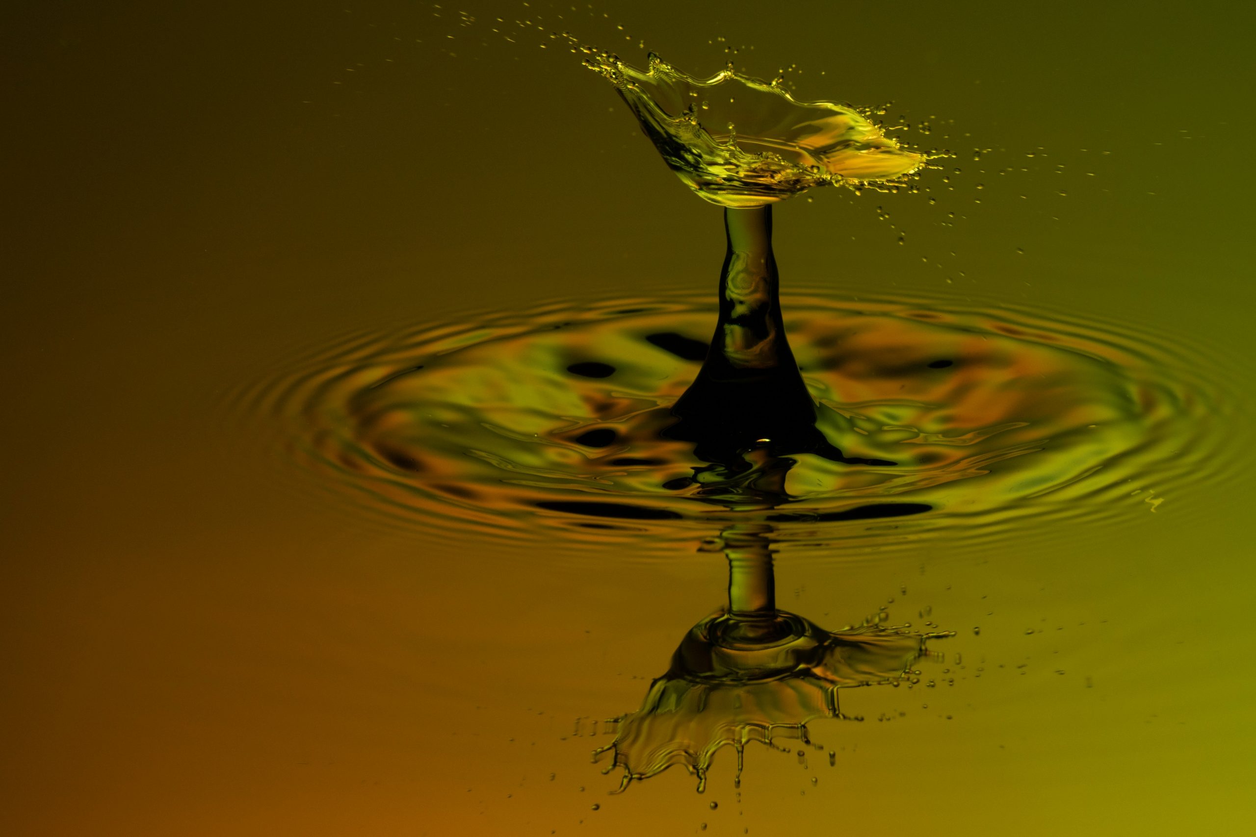 Elevated metal levels in tap water often originate from household plumbing. Learn how copper, nickel, and lead enter drinking water.