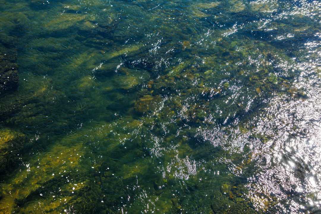 The quality of drinking water is a critical factor in ensuring both safety and taste. But did you know that the behavior of cold tap water changes depending on the season? In particular, cold water tends to "age" faster in the summer than in the winter, and this phenomenon has to do with several environmental and physical factors that influence water quality.