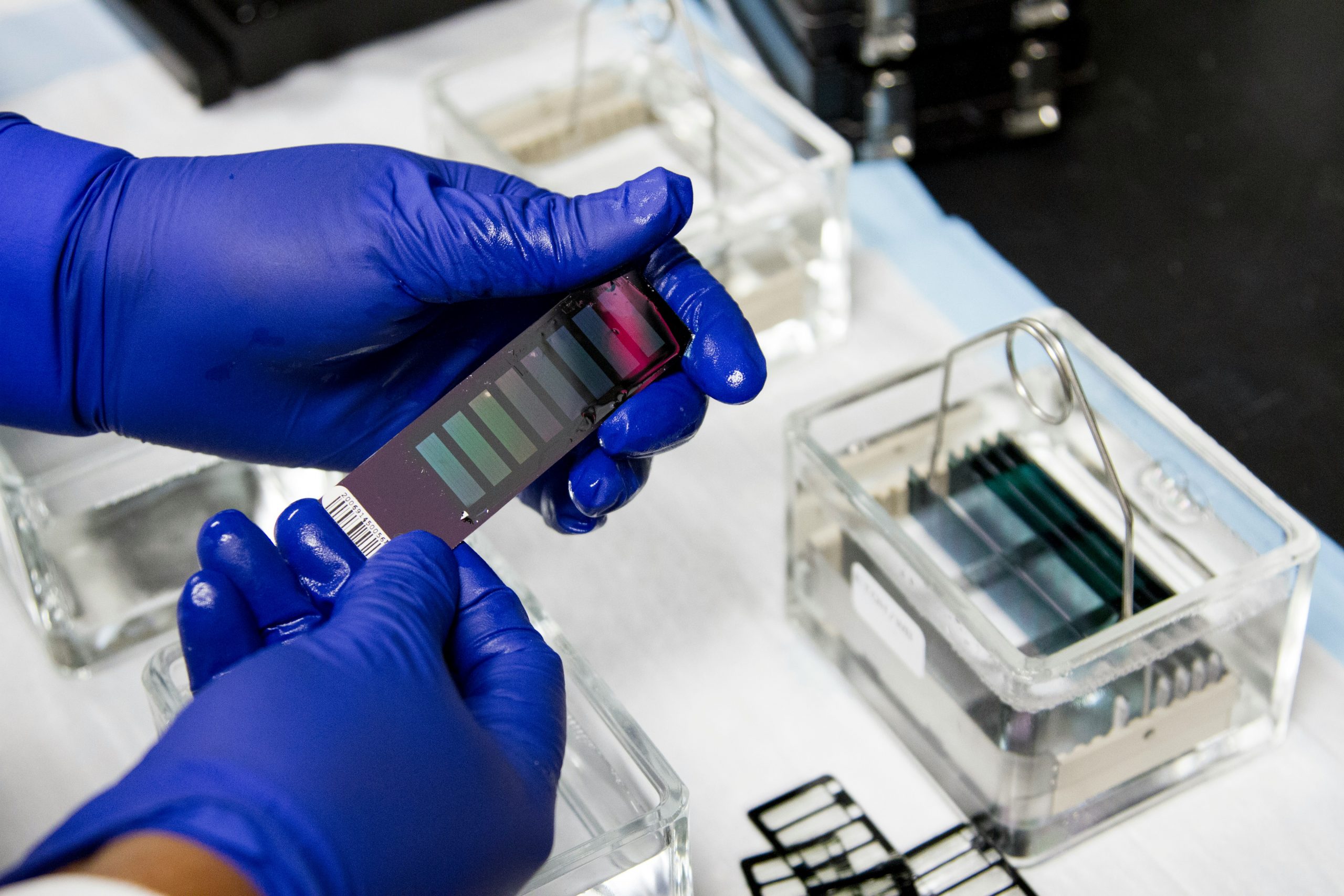 Water quality is a critical factor in maintaining the health of ecosystems, industrial processes, and even human well-being