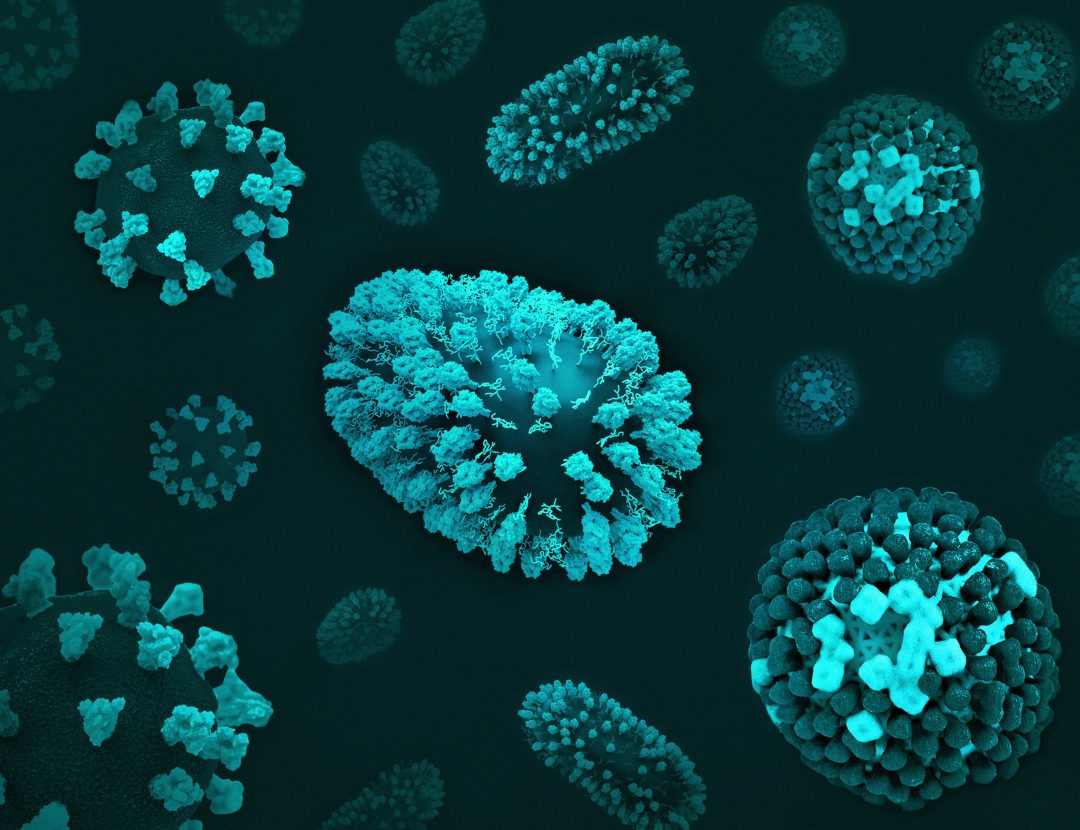 Waterborne diseases continue to pose a major health challenge worldwide, especially in areas where sanitation infrastructure is lacking or inadequate
