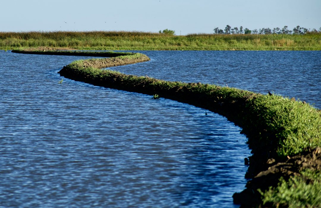 Biofilm formation is one of the most underestimated risks in water systems.