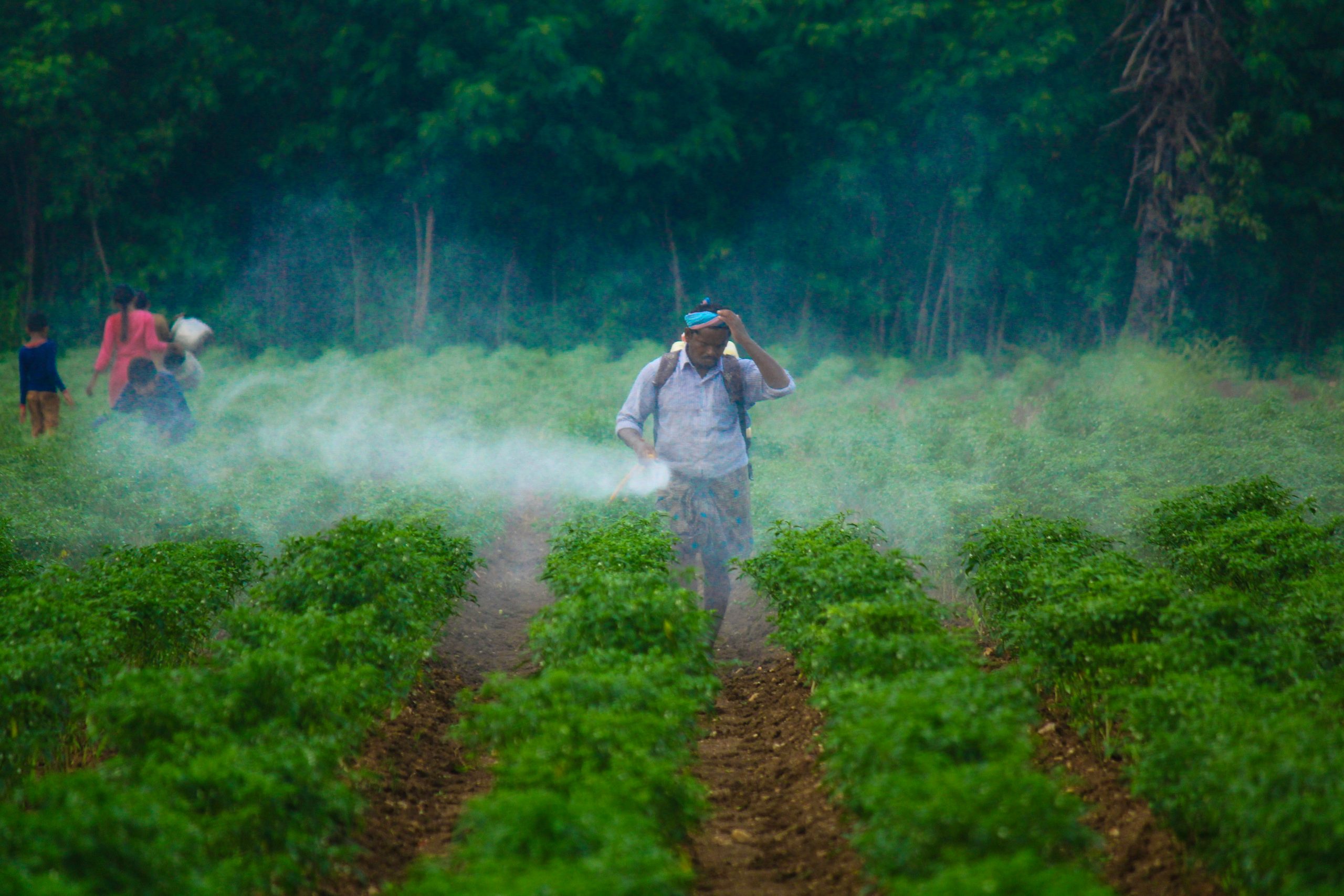 Agriculture depends on pesticides to control weeds, insects, fungi, and other pests.