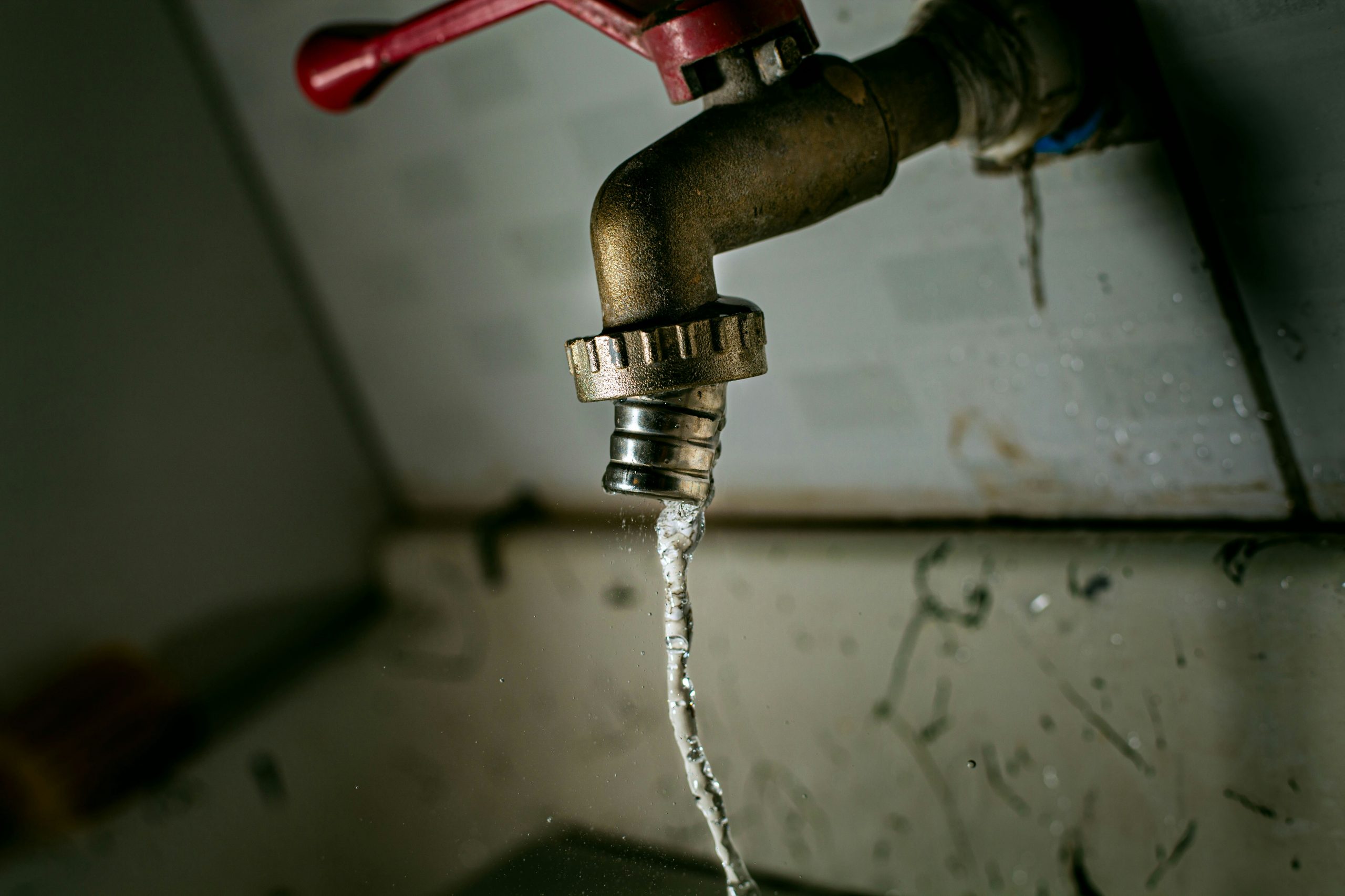 Tap water should taste clean and neutral. When it starts to smell earthy, musty, muddy, or woody, many people assume the water is contaminated or unsafe