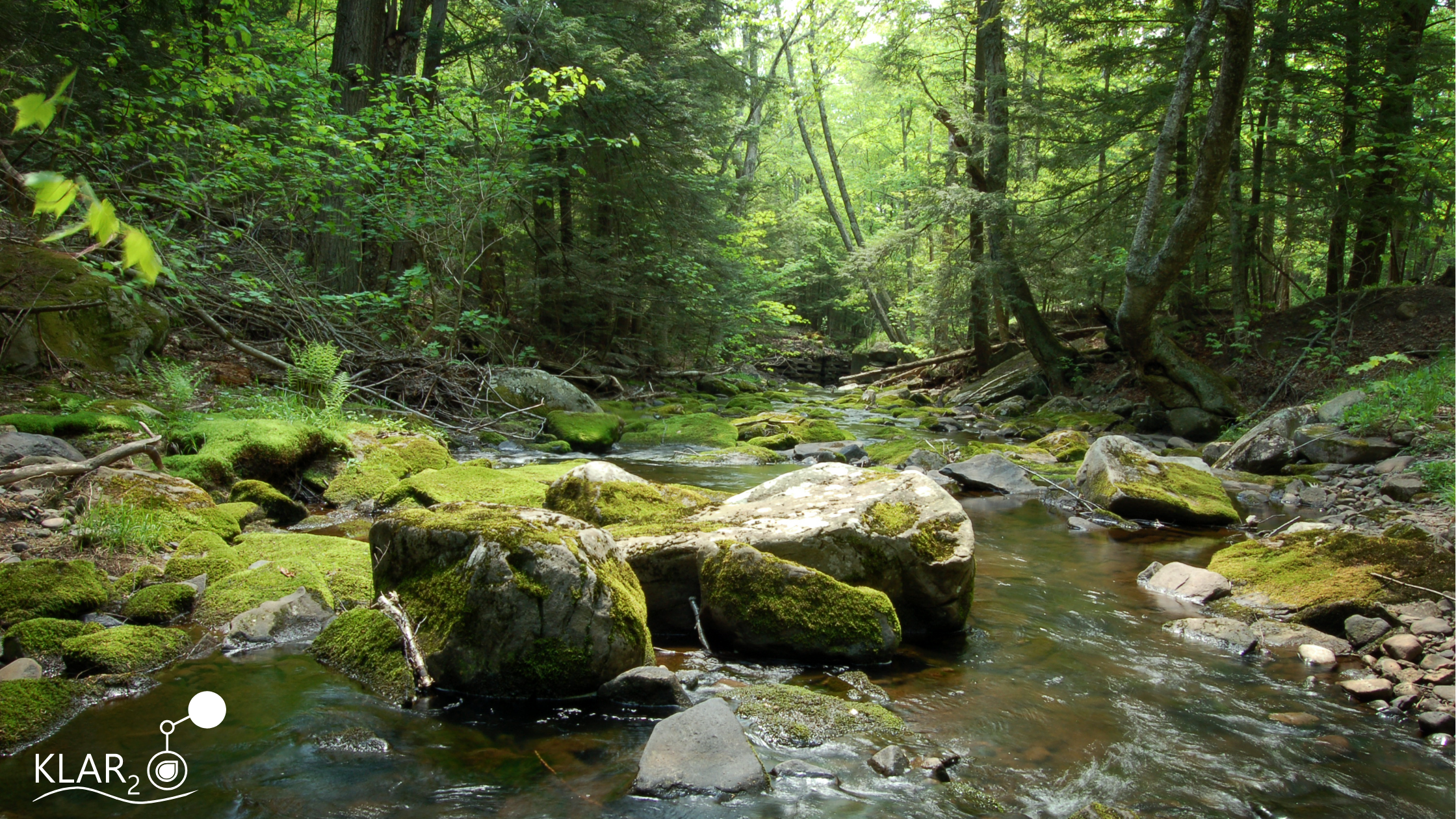 Can nature filter water? Explore how soil, roots, sediments and wetlands naturally remove or retain pollutants, where these processes work and where they reach their limits.